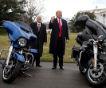 Мотоциклы Harley-Davidson погубит... Дональд Трамп